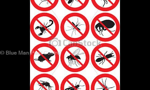 Blue Man Pest Control - Pest Control in T. Nagar, Chennai