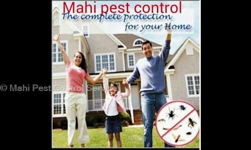 Mahi Pest Control Service - Pest Control in Thane West, Mumbai