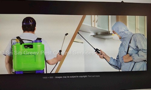 Sri Siti Greev Pest Control Services - Pest Control in Amaravathi Road, Guntur