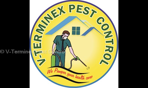 V-Terminex Pest Control - Pest Control in MG Road, Bangalore
