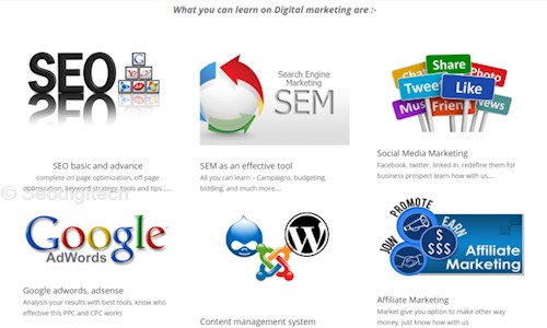 Seodigitech - Job Training in BTM Layout, Bangalore