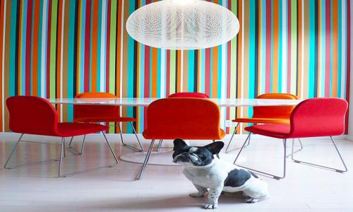 Satorie Home Decor - Interior Designers & Decorators in Perundurai Road, Erode