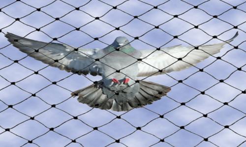 First Orbit Pest Control Services - Pest Control in Sarita Vihar, Delhi