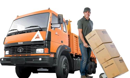 Tornier Packers & Movers - Packers and Movers in Satellite, Ahmedabad