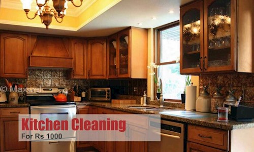 Maxwel.Co - Pest Control in Sector 46, Noida
