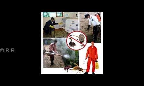 R.R. Pest Control - Pest Control in Jeedimetla, Hyderabad