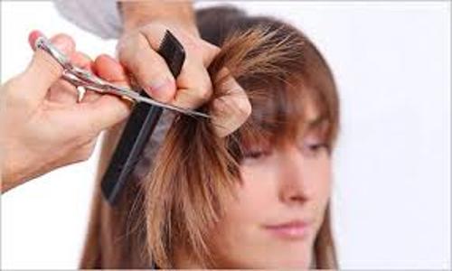 Blush Nu Gen - Job Training in Anna Nagar, Chennai