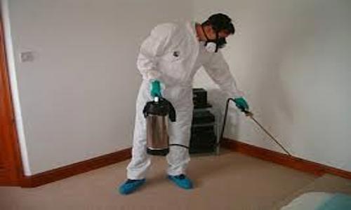 Manish Pest Control - Pest Control in Atladara Road, Vadodara
