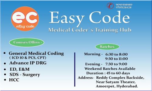 Easy Code - Job Training in Ameerpet, Hyderabad