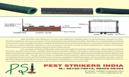 Pest Strikers India - Pest Control in Shahi Samadhan, Patiala