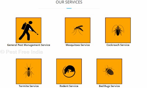 Pest Free India - Pest Control in B. Narayanapura, Bangalore