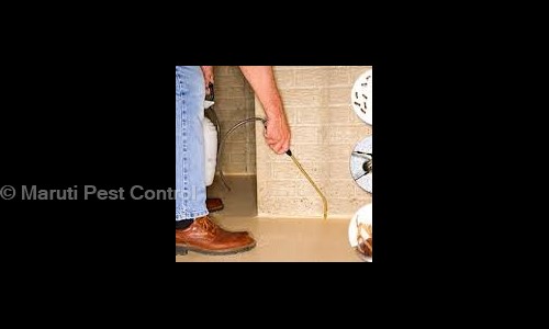 Maruti Pest Control - Pest Control in Indore, Indore