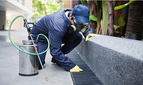 Pest Secure - Pest Control in Udyog Vihar, Greater Noida