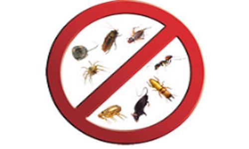 Chemistry Advanced Pest Services - Pest Control in Ambedkar Nagar, Pondicherry