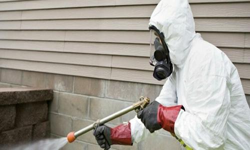 Safe Home Pestochem Pvt. Ltd. - Pest Control in Indira Nagar, Lucknow