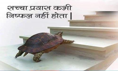 Tiwari Catering - Catering Services in NIT, Faridabad