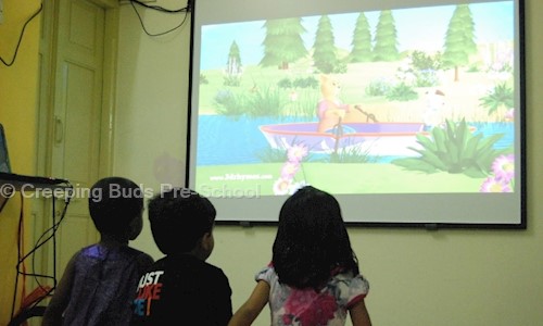 Creeping Buds Pre-School - day-care-centres in R.A. Puram, Chennai