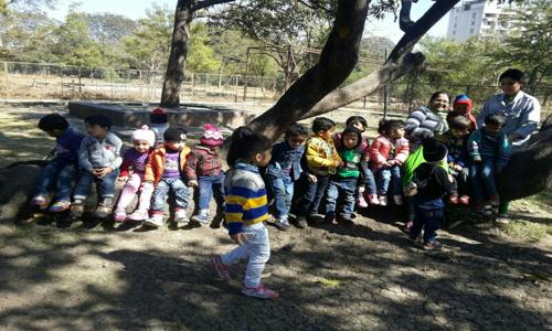 Lil Cipur School - Playschools in Mahalaxmi Nagar, Indore
