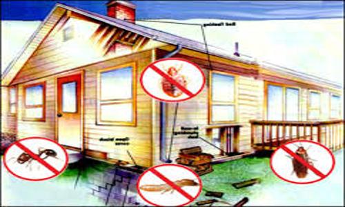 Agro Pest Control Service - Pest Control in Vinod Nagar West, Delhi