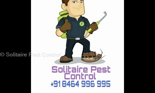 Solitaire Pest Control - Pest Control in BHEL, Hyderabad