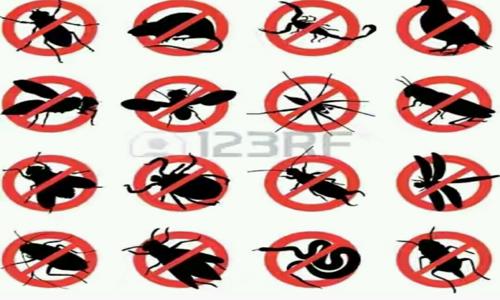 Topper Pest Control Professional Pest Management - Pest Control in Chirag Dilli, Delhi