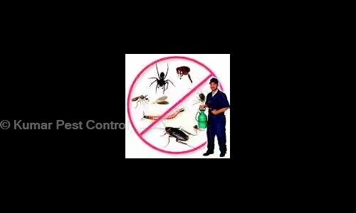 Kumar Pest Control - Pest Control in Salimpur, Patna