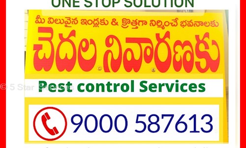 5 Star  Services - Pest Control in Dwaraka Nagar, Visakhapatnam