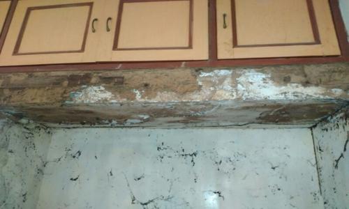 Green Secure Pest Control - Pest Control in Mathur, Chennai
