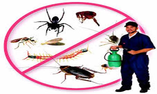 Uma Associates - Pest Control in Garia, Kolkata