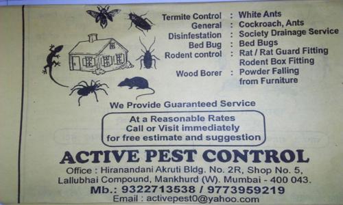 Active Pest Control - Pest Control in Mankhurd, Mumbai
