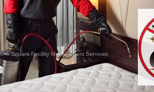 A Square Facility Management Services - Pest Control in Frazer Town, Bangalore