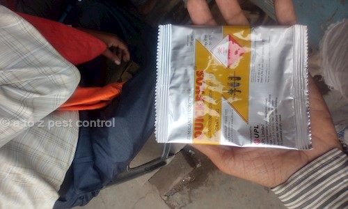 a to z pest control - Pest Control in Sirmour Chowk, Rewa