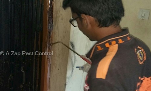 A Zap Pest Control - Pest Control in Saroor Nagar, Hyderabad