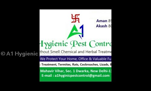 A1 Hygienic pest control - Pest Control in Palam Colony, Delhi