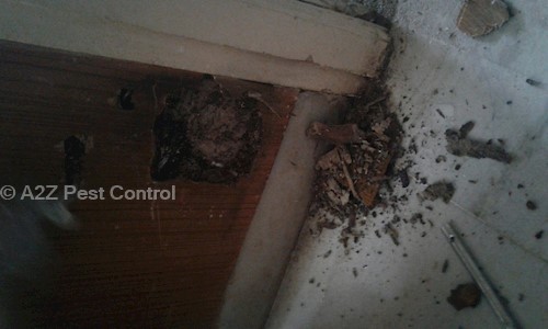 A2Z Pest Control - Pest Control in Secunderabad, Hyderabad