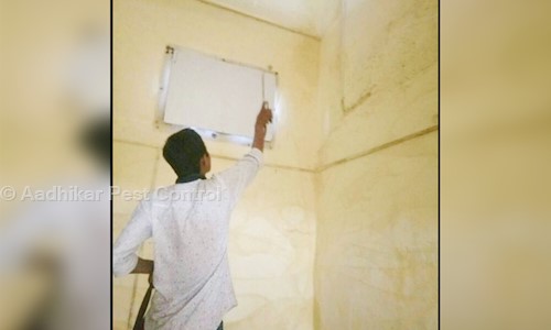 Aadhikar Pest Control - Pest Control in Borivali West, Mumbai