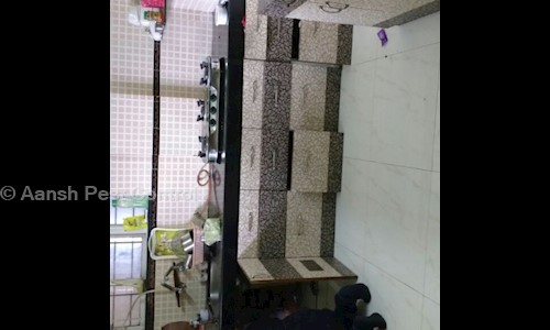 Aansh Pest Control - Pest Control in Yerawada, Pune