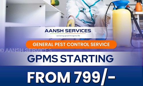AANSH SERVICES - Pest Control in Naroda, Ahmedabad