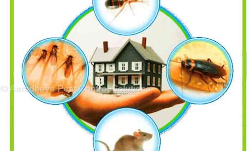 Aaradhaya Pest Control Solutions - Pest Control in Bahadrabad, Haridwar