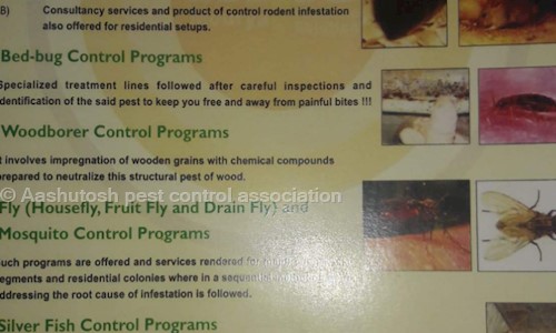 Aashutosh pest control association - Pest Control in Sainath Nagar, Virar