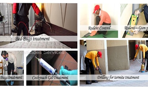 Ace Pesticides Services - Pest Control in Kandivali West, Mumbai