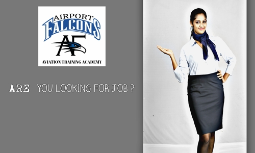 Airport Falcons - Job Training in Panjagutta, Hyderabad