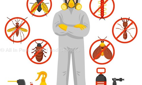 All In Pest Control and Services - Pest Control in Malviya Nagar, Jaipur
