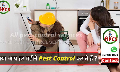 ALL PEST CONTROL SERVICES - Pest Control in Meerut Karnal Road, Karnal