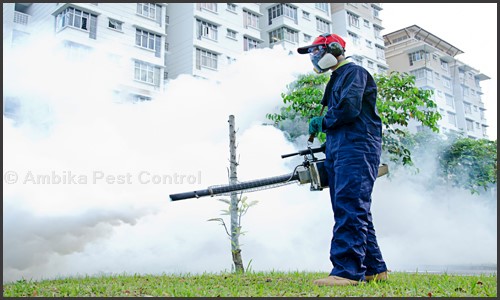 Ambika Pest Control - Pest Control in Saket, Delhi