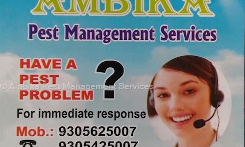 Ambika Pest Management Services - Pest Control in Aliganj, Lucknow
