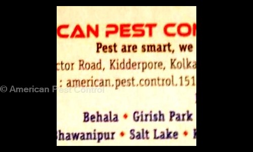 American Pest Control - Pest Control in Bhowanipore, Kolkata