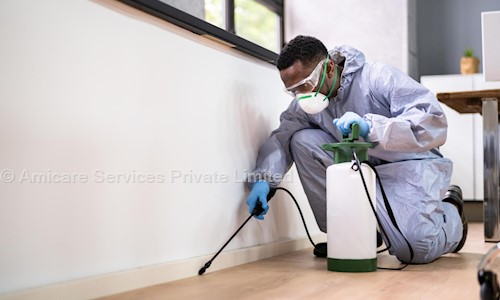 Amicare Services Private Limited - Pest Control in Vyttila, Cochin