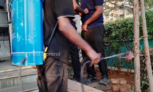 Amrutha Pest Control - Pest Control in Musheerabad, Hyderabad