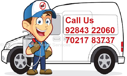 AN Pest Management Services - Pest Control in Virar, Mumbai